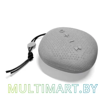 Беспроводная колонка Platinet PMG11 (серый)